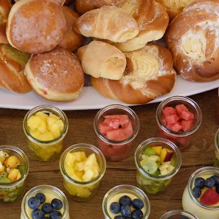 Hotel Villa-alexandra-mielenko