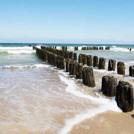 Villa-alexandra-mielenko