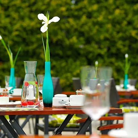 Hotel Villa-alexandra-mielenko 3*