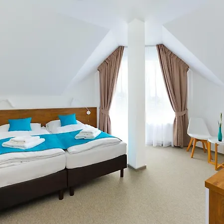 Hotel Villa-alexandra-mielenko 3*