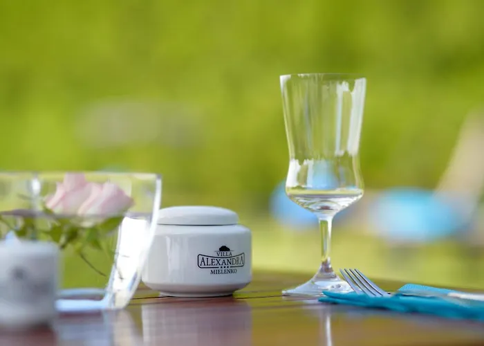 Villa-alexandra-mielenko Hotel Mielenko