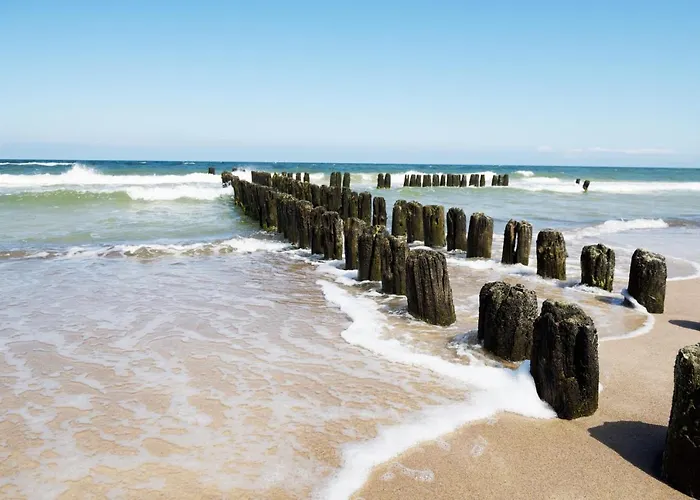 Villa-alexandra-mielenko