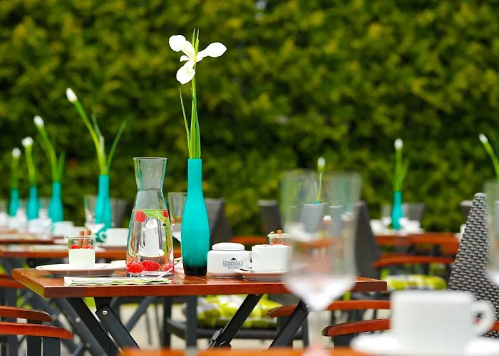 Ξενοδοχείο Villa-alexandra-mielenko 3*