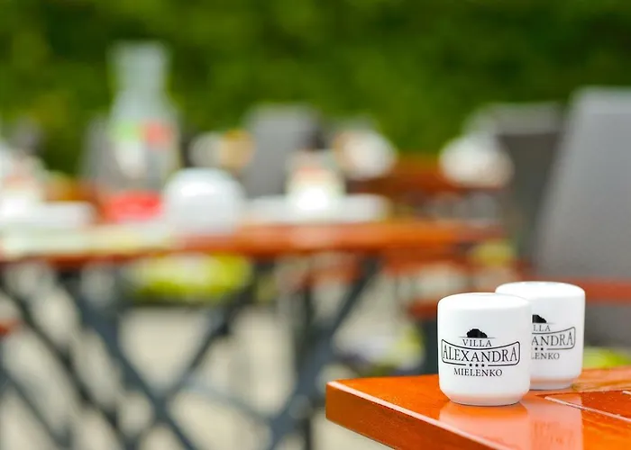 Ξενοδοχείο Villa-alexandra-mielenko 3*