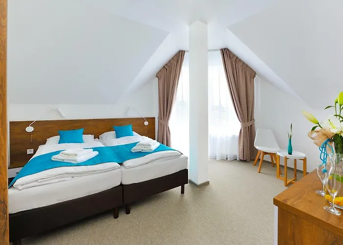 Ξενοδοχείο Villa-alexandra-mielenko 3*