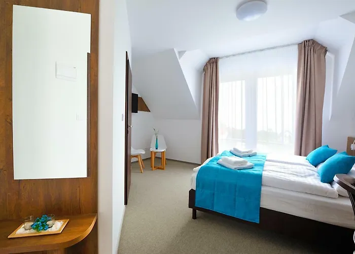 Hotel Villa-alexandra-mielenko 3*